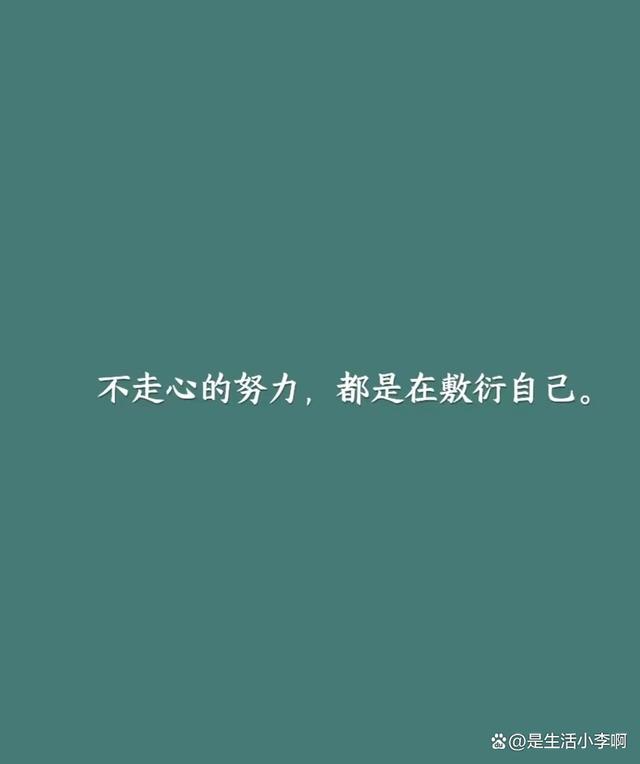 澳门一码一肖一特一中五码必中,人生成长的重要指南：寻找生活的方向  第2张