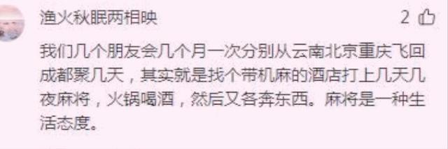 2024新奥资料免费精准051,四川人休闲娱乐很有趣，特别喜欢益智游戏：怡情养性，休闲安逸  第14张