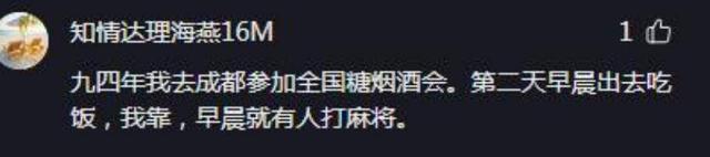 2024新奥资料免费精准051,四川人休闲娱乐很有趣，特别喜欢益智游戏：怡情养性，休闲安逸  第24张