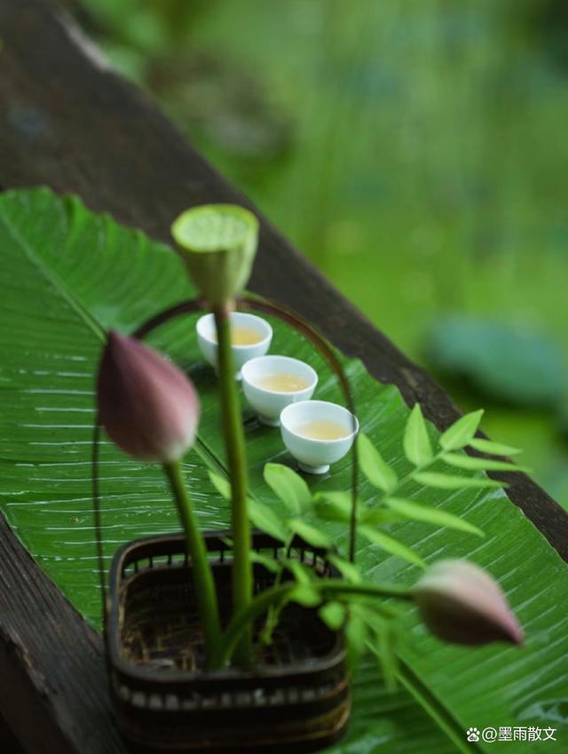 天天彩澳门天天彩,生活细碎，万物成诗  第1张