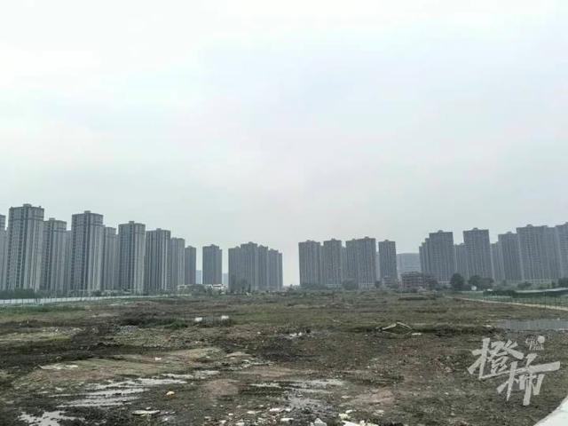 2024新澳今晚资料66期_3宗地块上新，杭州新房不限价的楼市板块又增加了