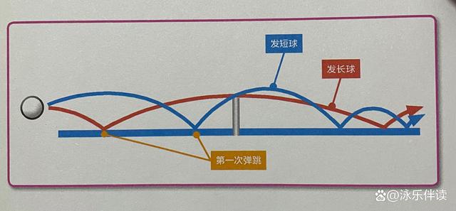 澳门精准免费资料大全使用方法_乒乓球发球规则、发球目的、如何使用长球或短球让对方不宜回击  第5张