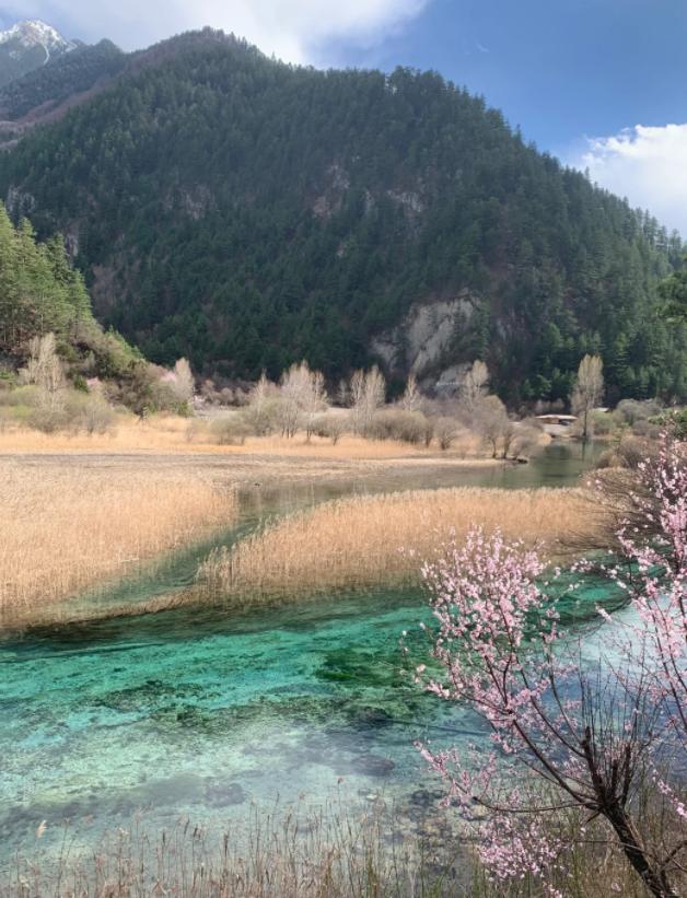 今晚澳门三肖三码开一码_四川旅游攻略自由行攻略，攻略只看这一篇足够  第5张