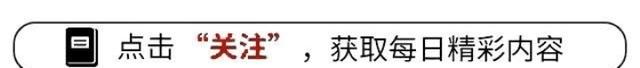 澳门最准一肖一码一码配套成龙_2024科技革命来袭：10大突破引领潮流，中国芯片崛起成黑马！  第1张