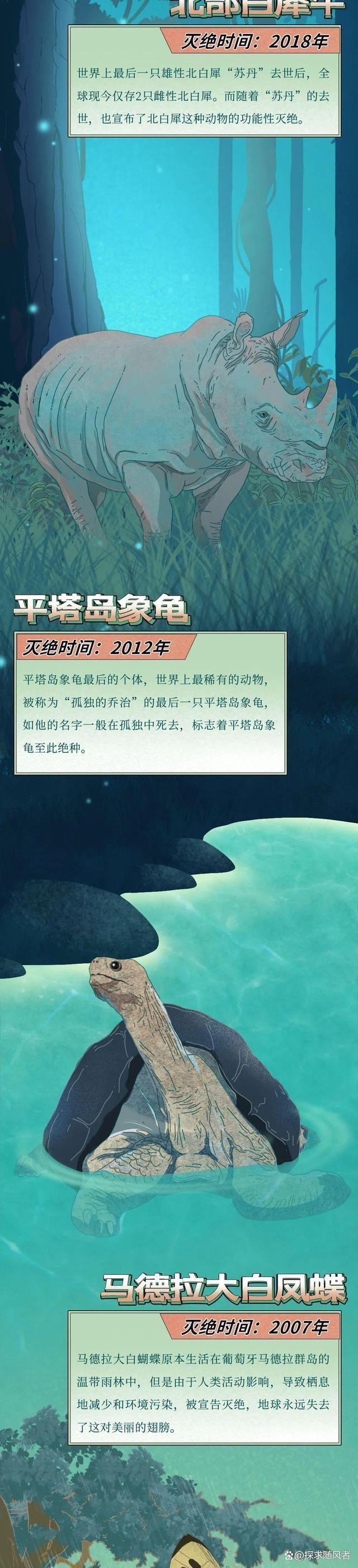 4949澳门今天开的什么码_“白鲟，真抱歉用这种方式认识你”（漫画科普）灭绝动物的一生  第4张