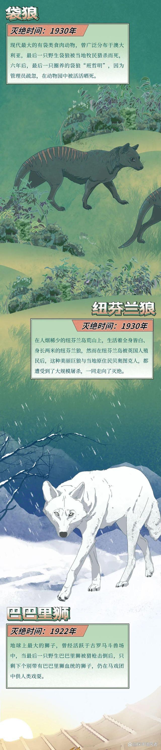 4949澳门今天开的什么码_“白鲟，真抱歉用这种方式认识你”（漫画科普）灭绝动物的一生  第7张