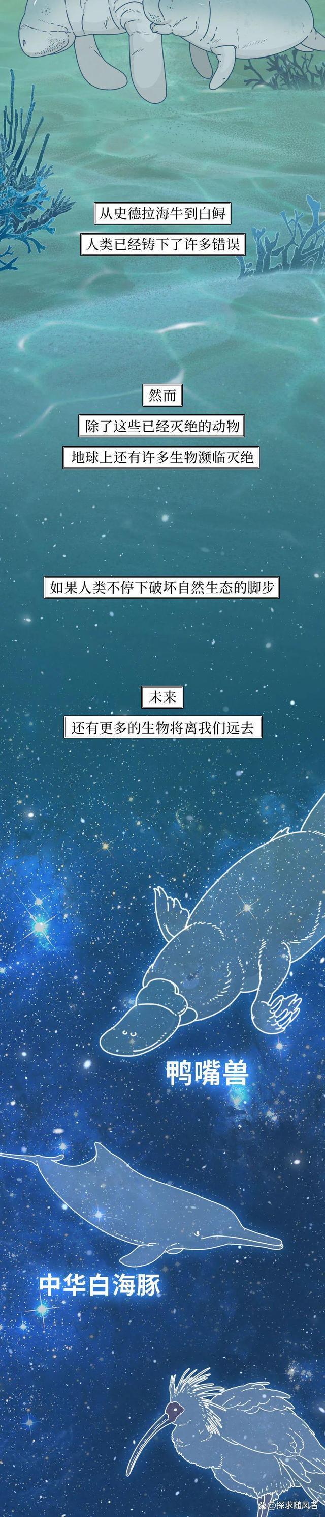 4949澳门今天开的什么码_“白鲟，真抱歉用这种方式认识你”（漫画科普）灭绝动物的一生  第11张