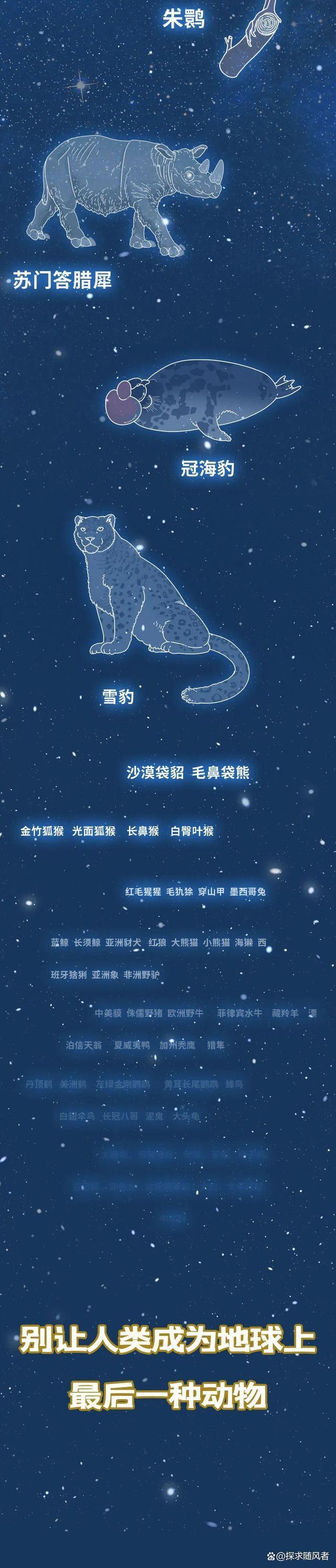 4949澳门今天开的什么码_“白鲟，真抱歉用这种方式认识你”（漫画科普）灭绝动物的一生  第12张