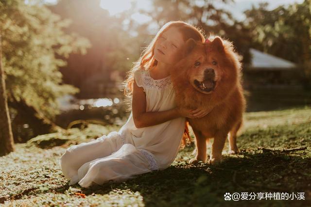 新港澳门免费资料长期公开_活成一个“干干净净”的人，是30岁以后最棒的生活技巧  第1张