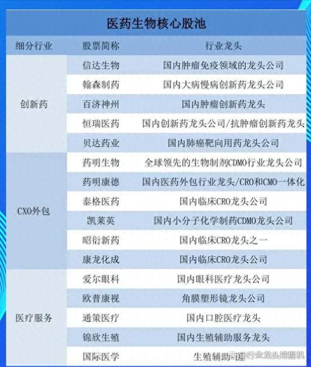 2024新奥资料免费精准051_大科技：消费电子+国内龙头+半导体+医药+汽车+6G+卫星互联网  第16张