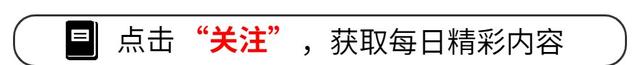 澳门4949资料正版免费大全_纽约时装周：明星风采与时尚趋势的精彩较量  第1张