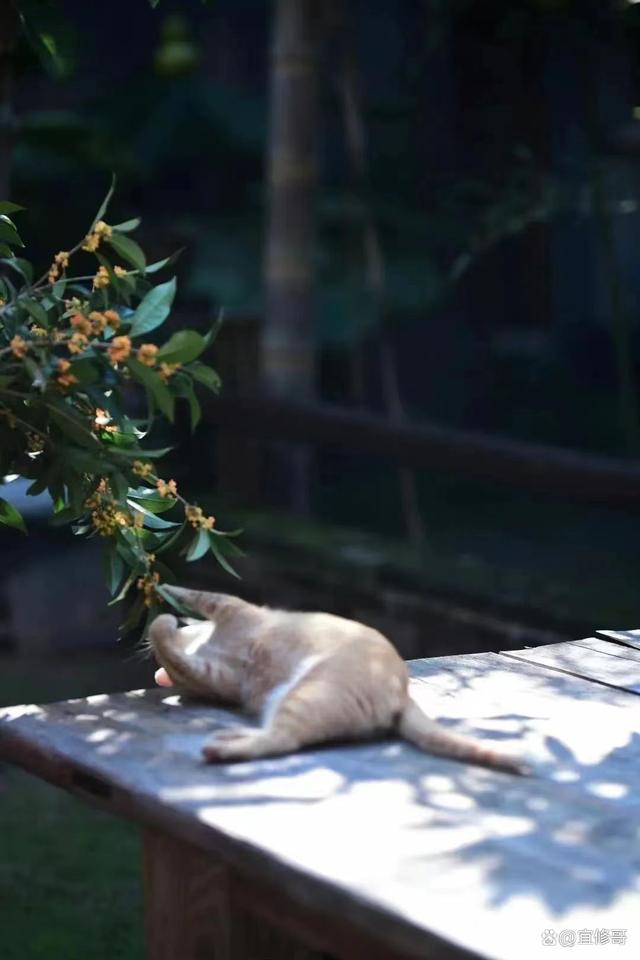 香港最准资料免费公开_对于大多数人来说，生活的主要任务就是谋生  第3张