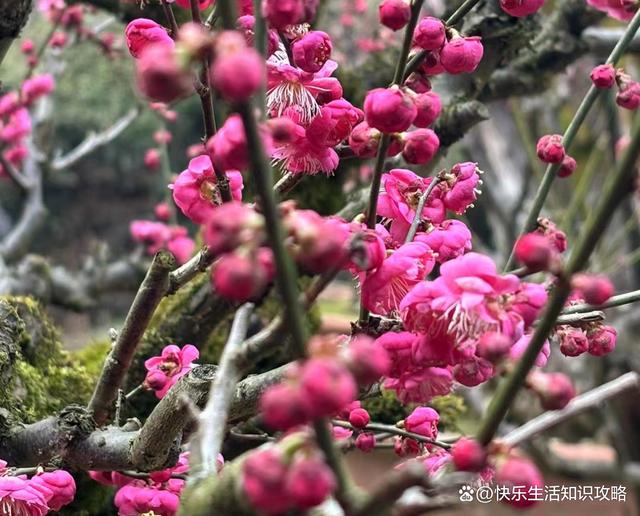 新奥天天免费资料单双_探索人生的意义和内心平静  第4张