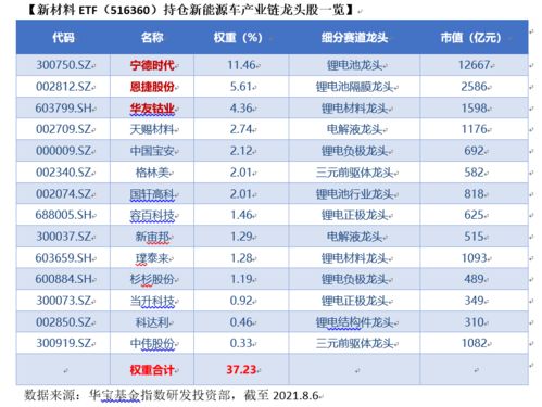 新澳2024大全正版免费资料，经典解释落实_V35.15.23