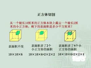 2024年新奥门王中王开奖结果，经典解释落实_V版27.75.45  第1张