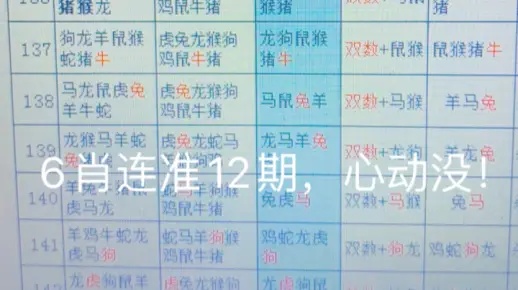 新澳精准一肖一码，经典解释落实_V46.19.14