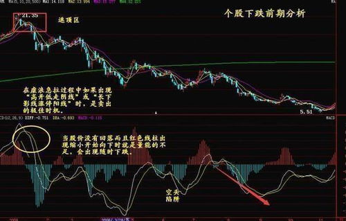 2024新澳门精准正版资料大全,8月1日建信电子行业股票A净值增长0.41%，近6个月累计上涨14.15%