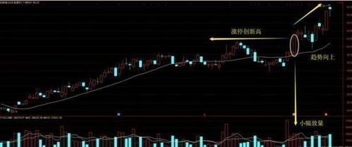 新澳精准资料大全_今日涨跌停股分析：76只涨停股、4只跌停股，锦江在线15天9板，大众交通1……  第1张