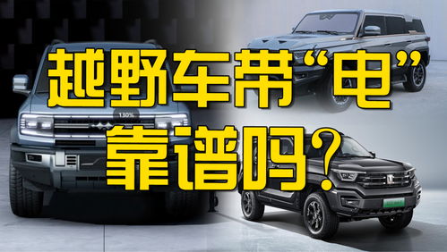 2024新澳免费资科五不中料_新车“价格战”冲击波犹在 二手车商“生意经”难念  第1张