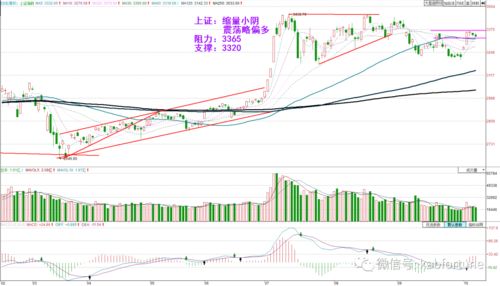 新澳2024大全正版免费资料_文峰股份成一元低价股，总市值31.79亿元