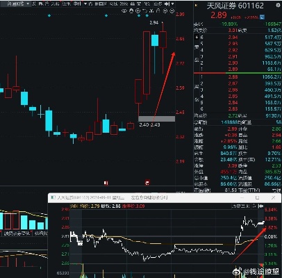 王中王100期期一肖_天风证券：股票异常波动，提醒投资者注意交易风险